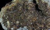 Sphalerite, Calcite and Galena - Pine Point Mine, Canada #64515-2